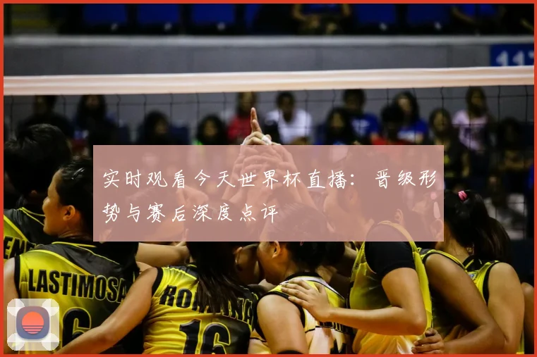 实时观看今天世界杯直播：晋级形势与赛后深度点评