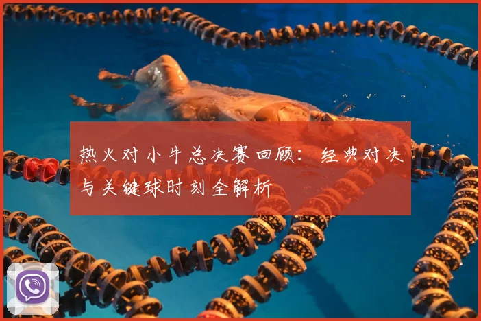 热火对小牛总决赛回顾：经典对决与关键球时刻全解析