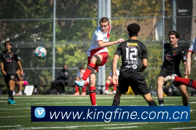 开云app官方入口网页版品牌故事