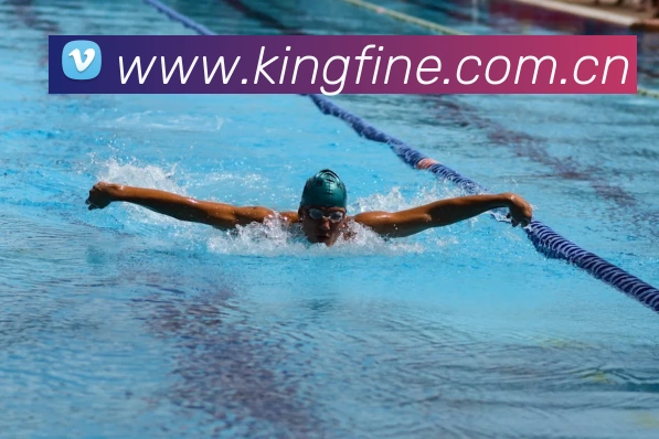 开云app官方入口网页版服务体系